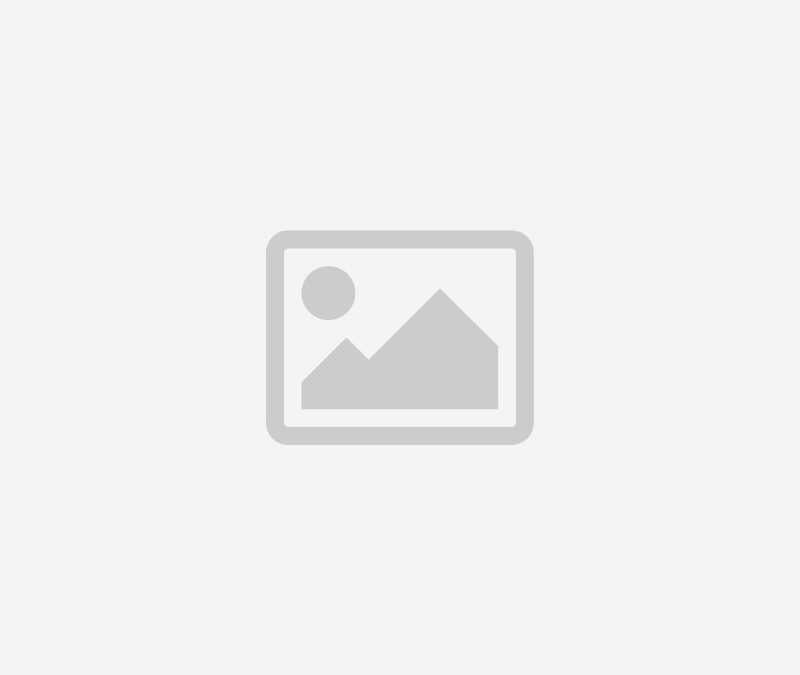 Crooked Tan Lines, #14: July 20, Schedules